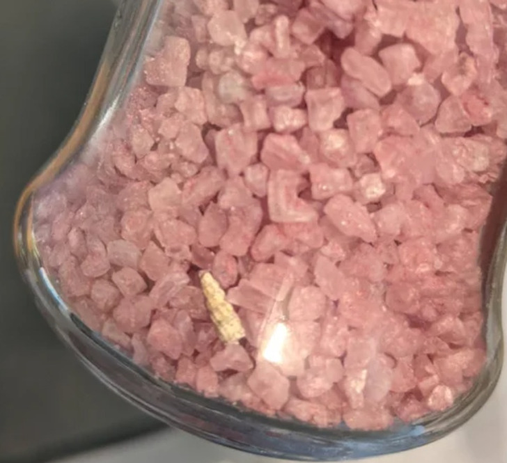 Illustration de l'article : 18 once in a lifetime occurrences that netizens snapped and shared