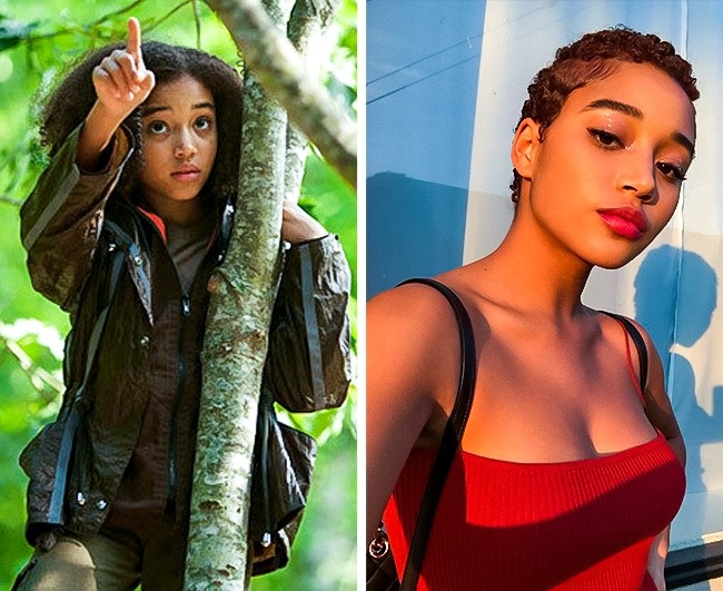 Illustration de l'article : Check out what the cast of The Hunger Games have been up to since the franchise ended