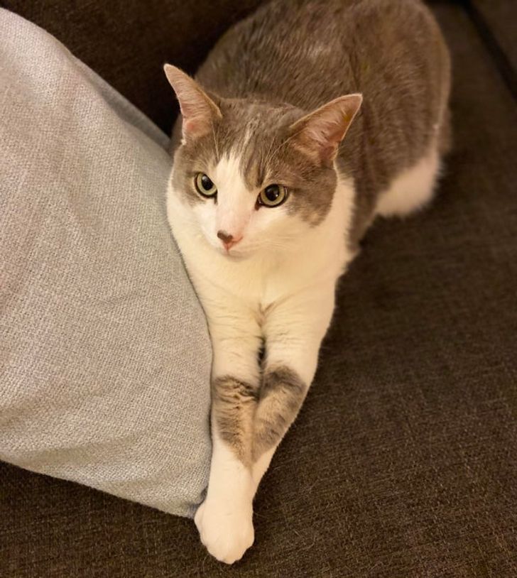 Illustration de l'article : 19 photos that illustrate the beauty of nature