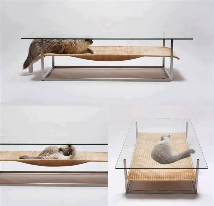 Illustration de l'article : Which of these 14 objects would change your daily life the most?