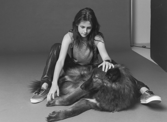 Illustration de l'article : Which of these 12 celebrity pets is the most unusual?