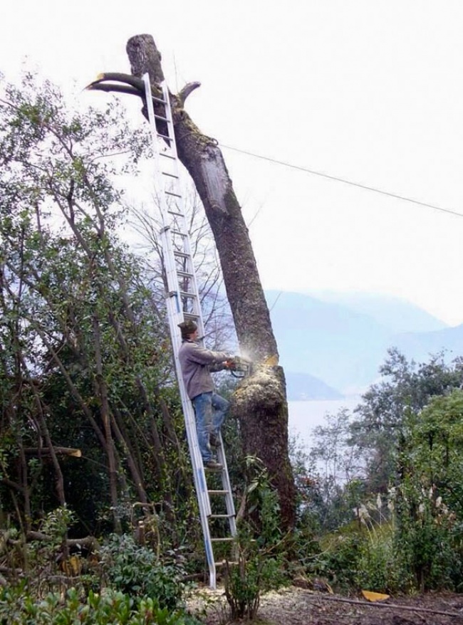 Illustration de l'article : 22 photos that show why women live longer than men