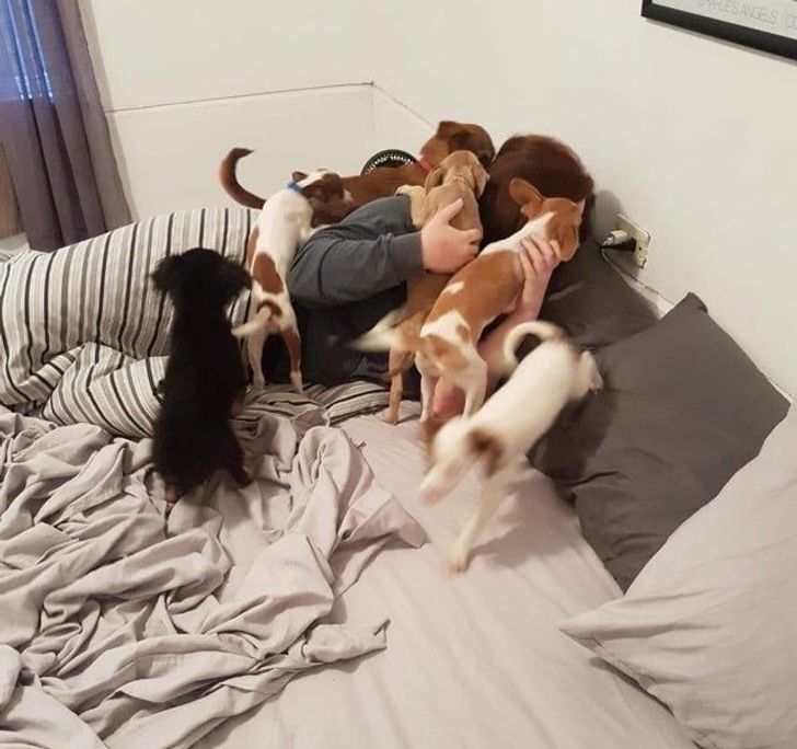 Illustration de l'article : 20 people who returned home with an unforgettable memory of their vacation