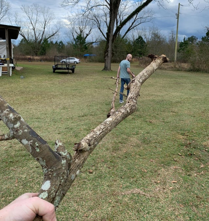 Illustration de l'article : 20 photos that will make you look twice