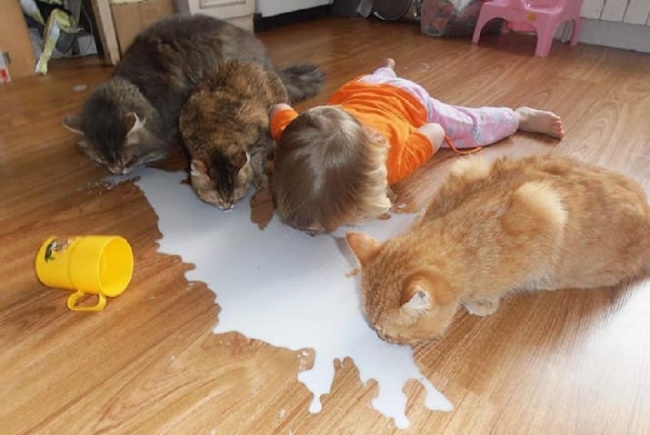 Illustration de l'article : 18 reasons why you should never leave your kids up to their own devices!