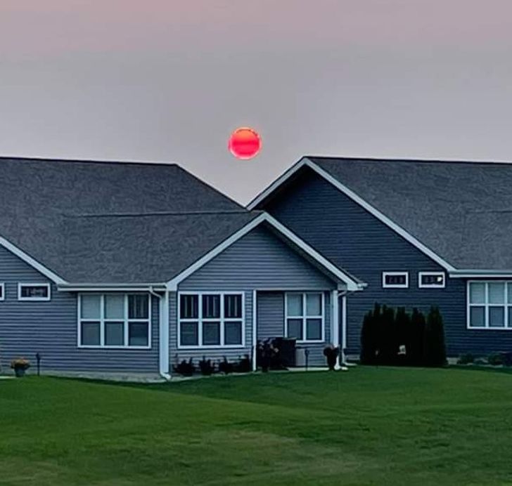 Illustration de l'article : 18 times nature has surpassed itself