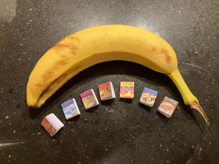 Illustration de l'article : 20 photos of weird and wonderful collections that people have treasured over the years