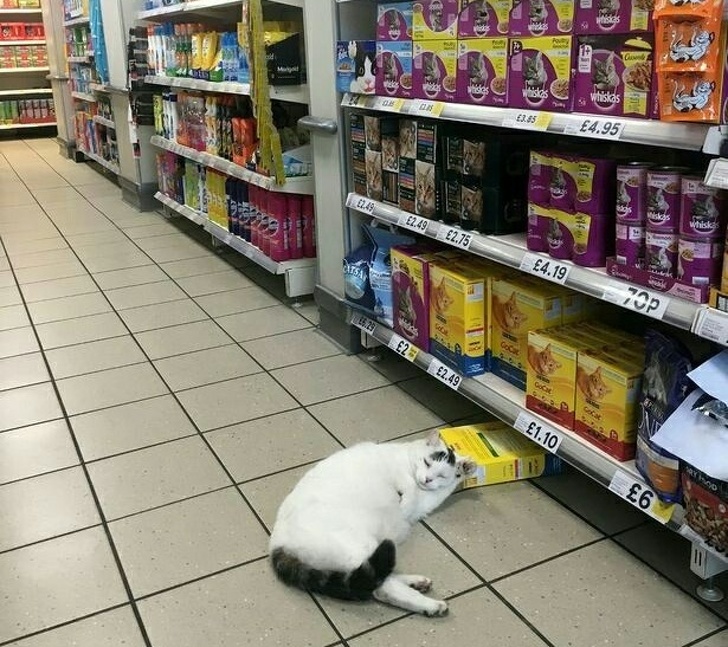 Illustration de l'article : 17 people who live life on their own terms