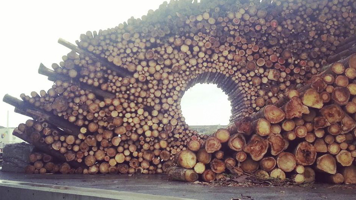 Illustration de l'article : 29 satisfying photos of perfection