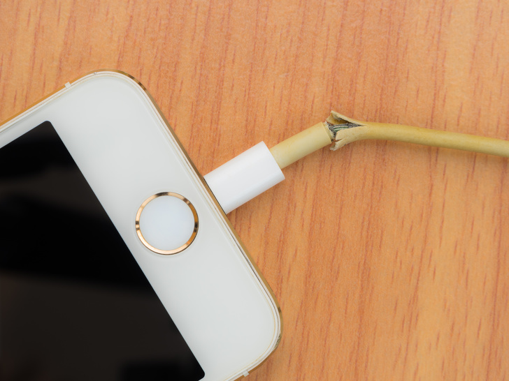 Illustration de l'article : 13 truly exasperating situations caught on camera