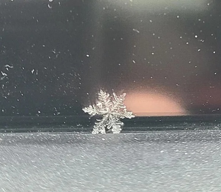 Illustration de l'article : 19 photos of everyday things that will bring a smile to your face