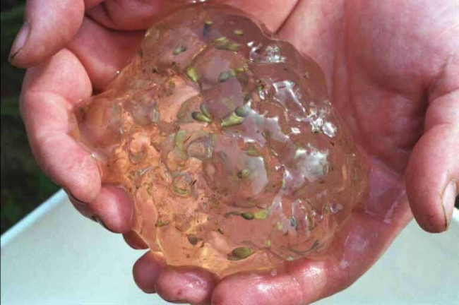 Illustration de l'article : 11 mysteries that scientists still can’t explain