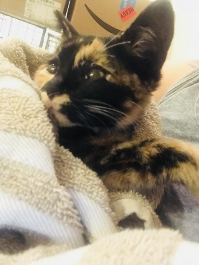 Illustration de l'article : 28 heart-warming acts of kindness that will restore your faith in humanity