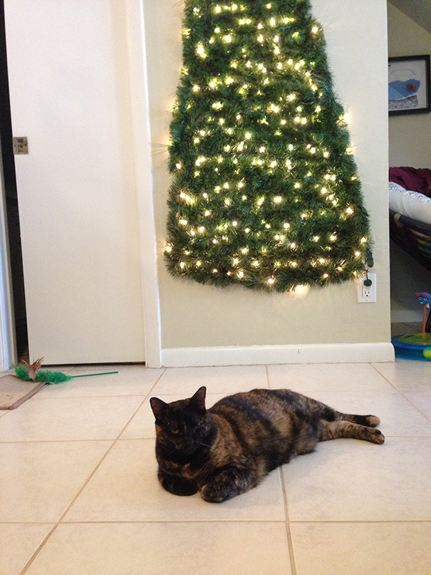 Illustration de l'article : 20 genius ways to stop your pet from destroying your Christmas tree!