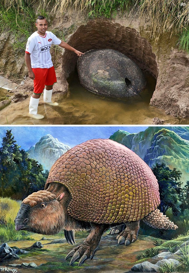 Illustration de l'article : 10 totally unexpected things people have found in their yards