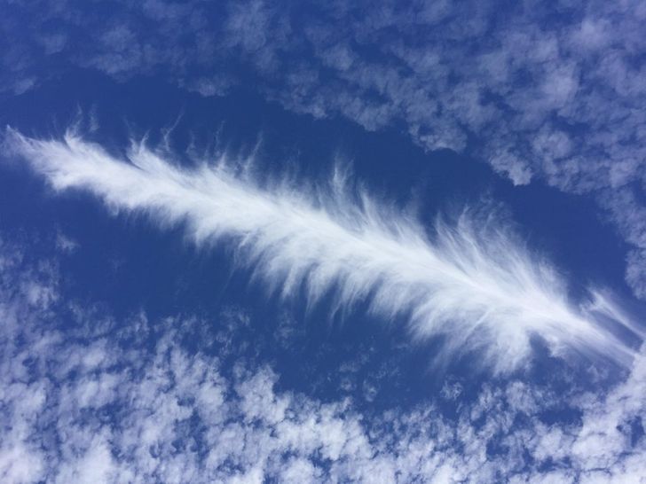 Illustration de l'article : 15 photos of amazing accidental art