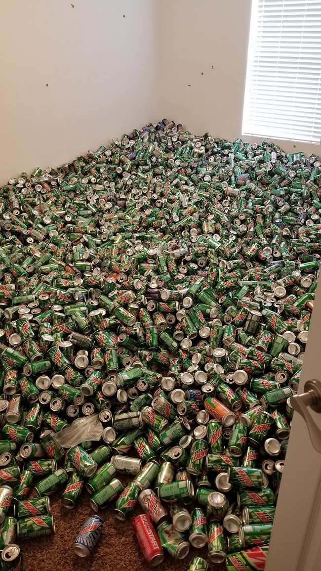 Illustration de l'article : 26 photos where something really weird is going on