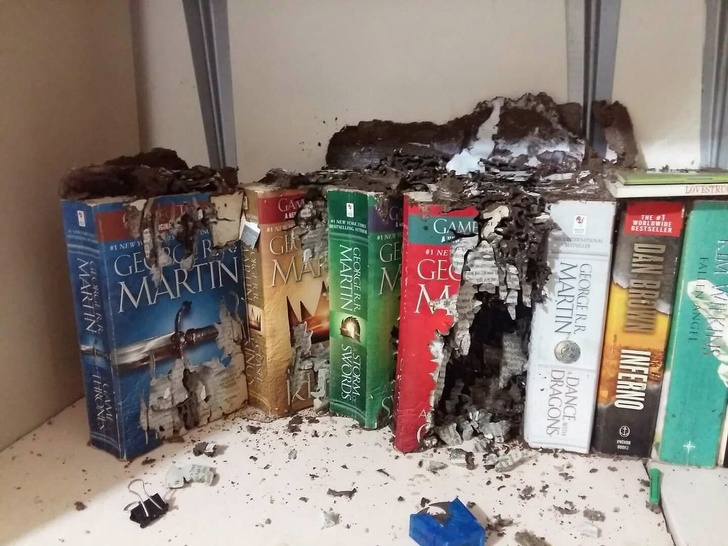 Illustration de l'article : 20 times someone found a mini-disaster on their hands