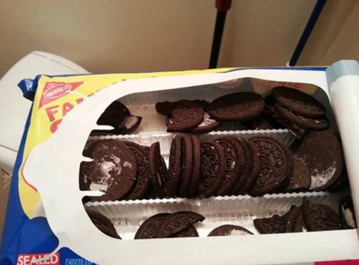 Illustration de l'article : 19 people who play by different rules