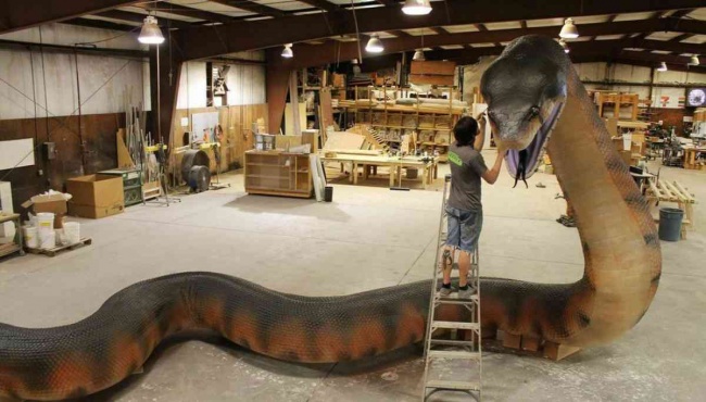 Illustration de l'article : 15 of the biggest living things found on Earth
