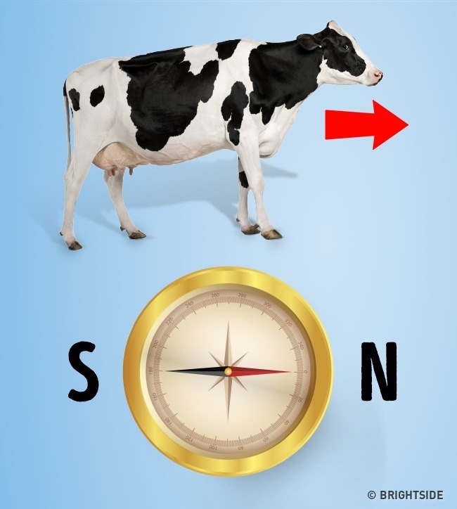 Illustration de l'article : 11 mysteries that scientists still can’t explain