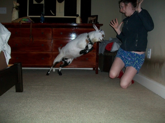 Illustration de l'article : 26 crazy situations captured on camera