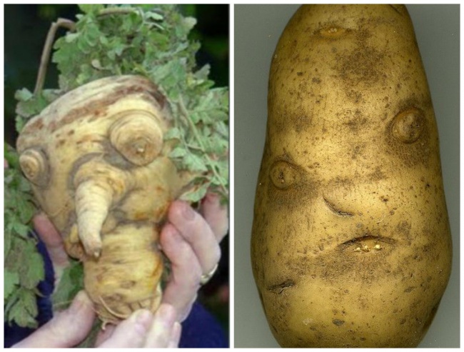 Illustration de l'article : 27 photos where something strange happened with food
