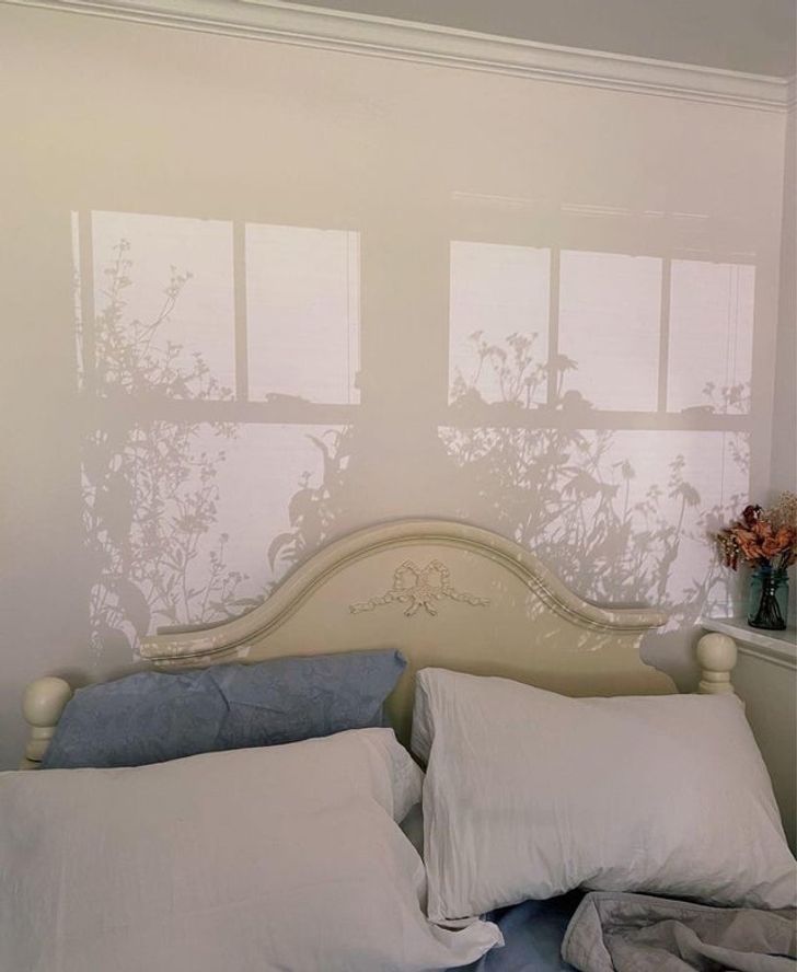 Illustration de l'article : 15 photos of amazing accidental art