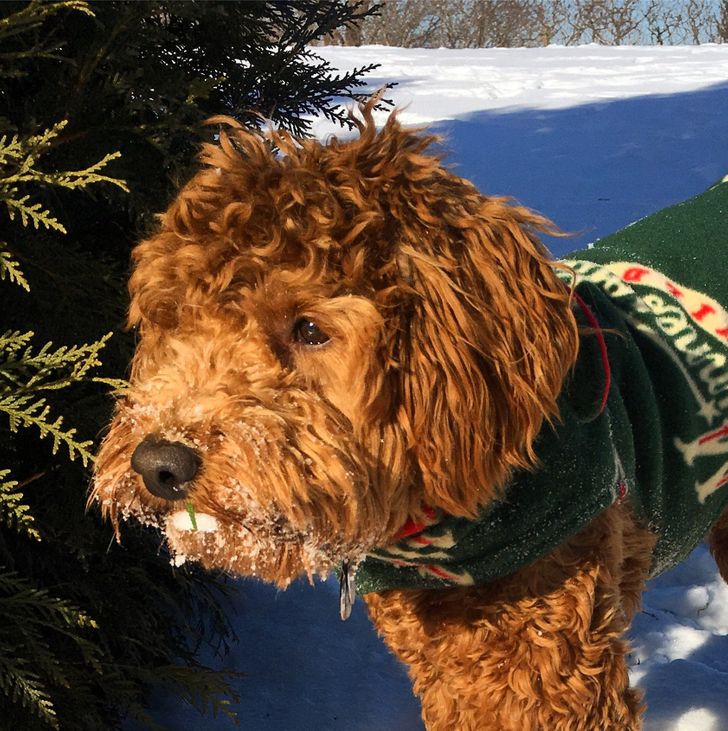 Illustration de l'article : 20 photos that aren’t what they seem