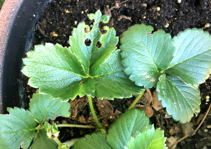 Illustration de l'article : 27 unexpected discoveries found by chance