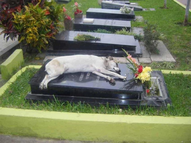 Illustration de l'article : 17 moving photos that will touch your heart