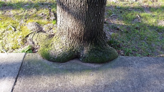 Illustration de l'article : 22 mind-bending yet accidental optical illusions 