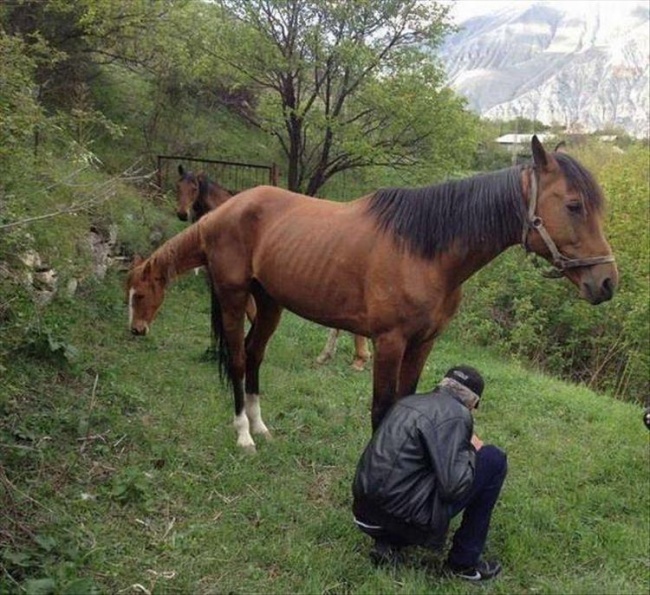 Illustration de l'article : 29 insane optical illusions that will make you look twice