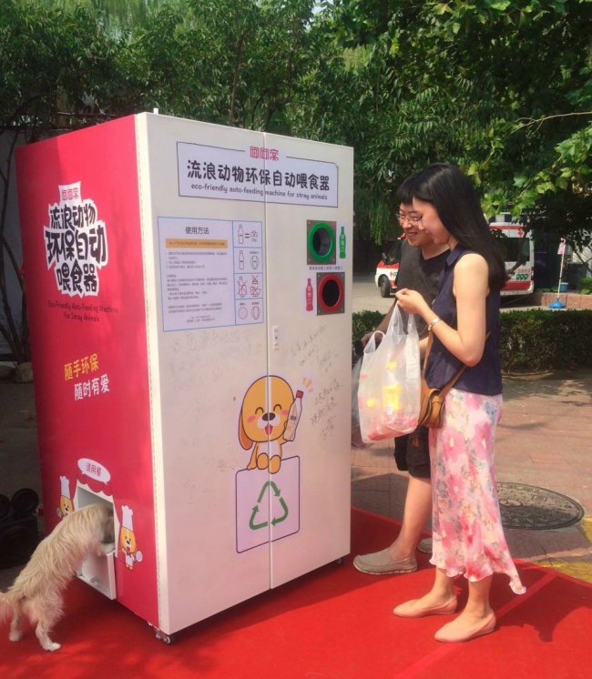 Illustration de l'article : 13 examples that show our kindness to animals