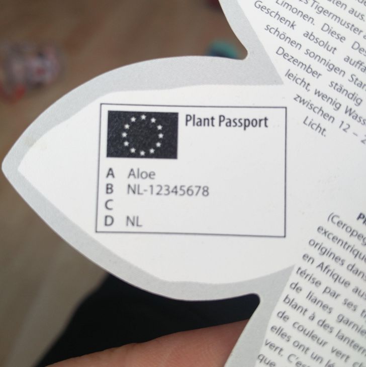 Illustration de l'article : 19 cool coincidences caught on camera