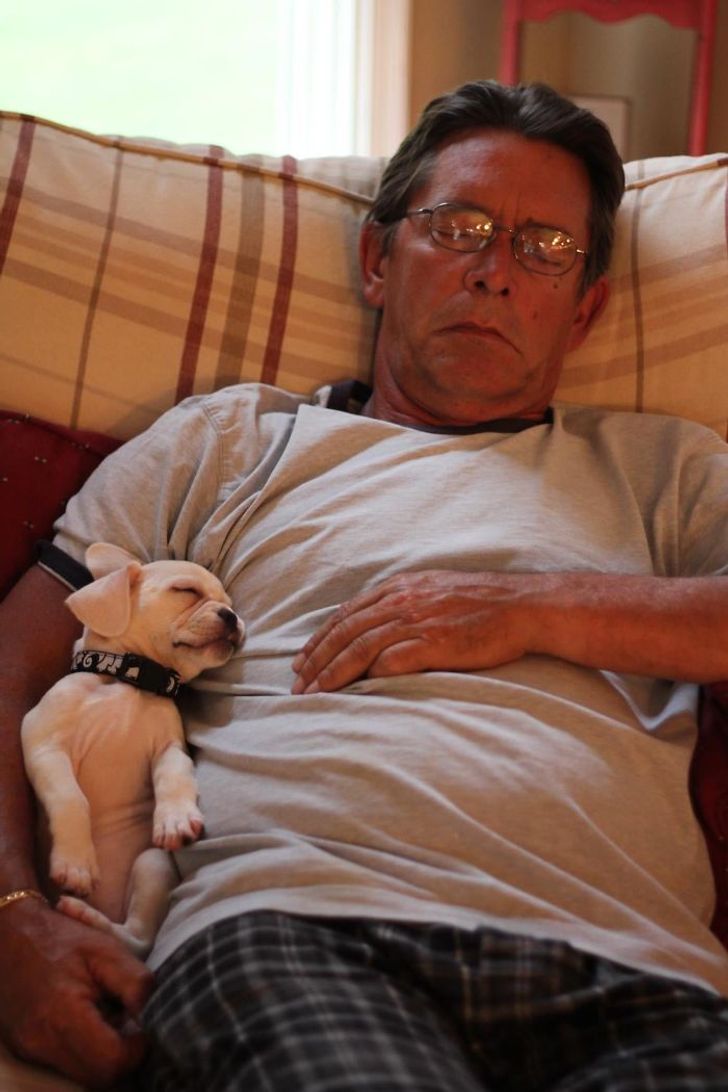Illustration de l'article : 20 people who were against adopting a pet until this happened