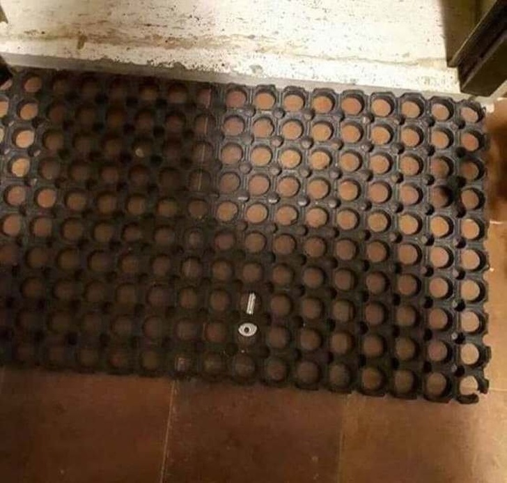 Illustration de l'article : 17 people who live life on their own terms