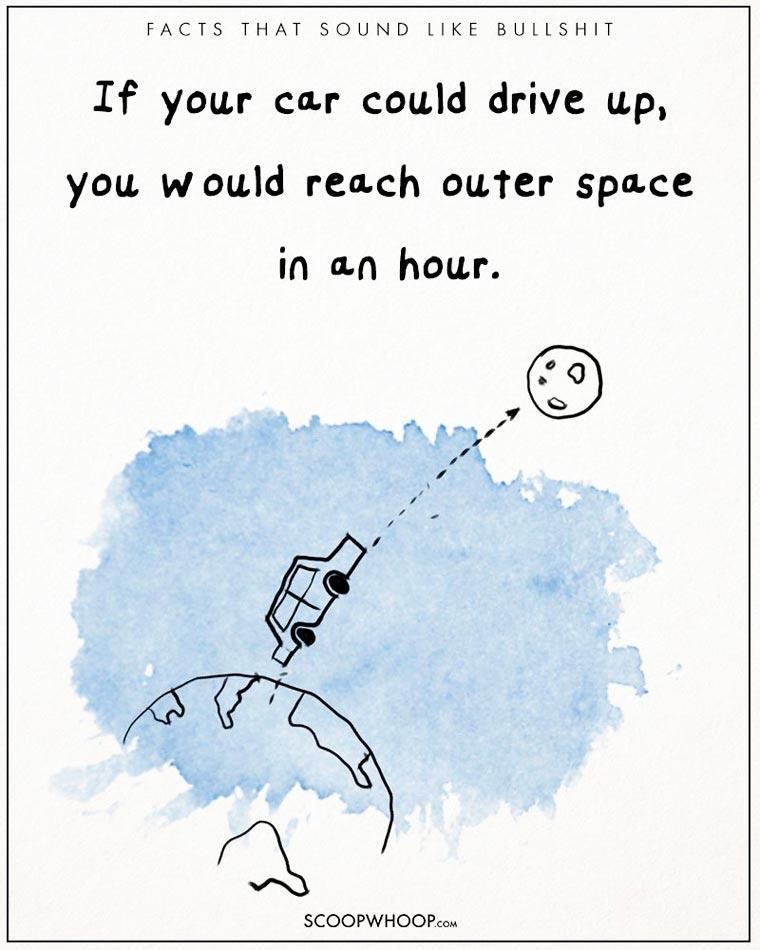Illustration de l'article : 22 crazy but totally true facts illustrated with drawings!