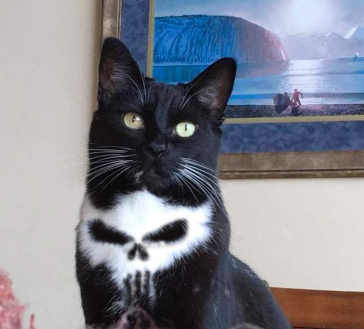 Illustration de l'article : 20 photos that show how marvellous the world around us can be