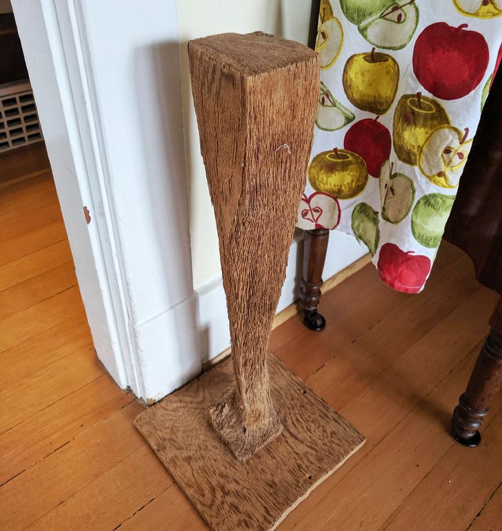 Illustration de l'article : 20 photos of interesting and amazing natural phenomena