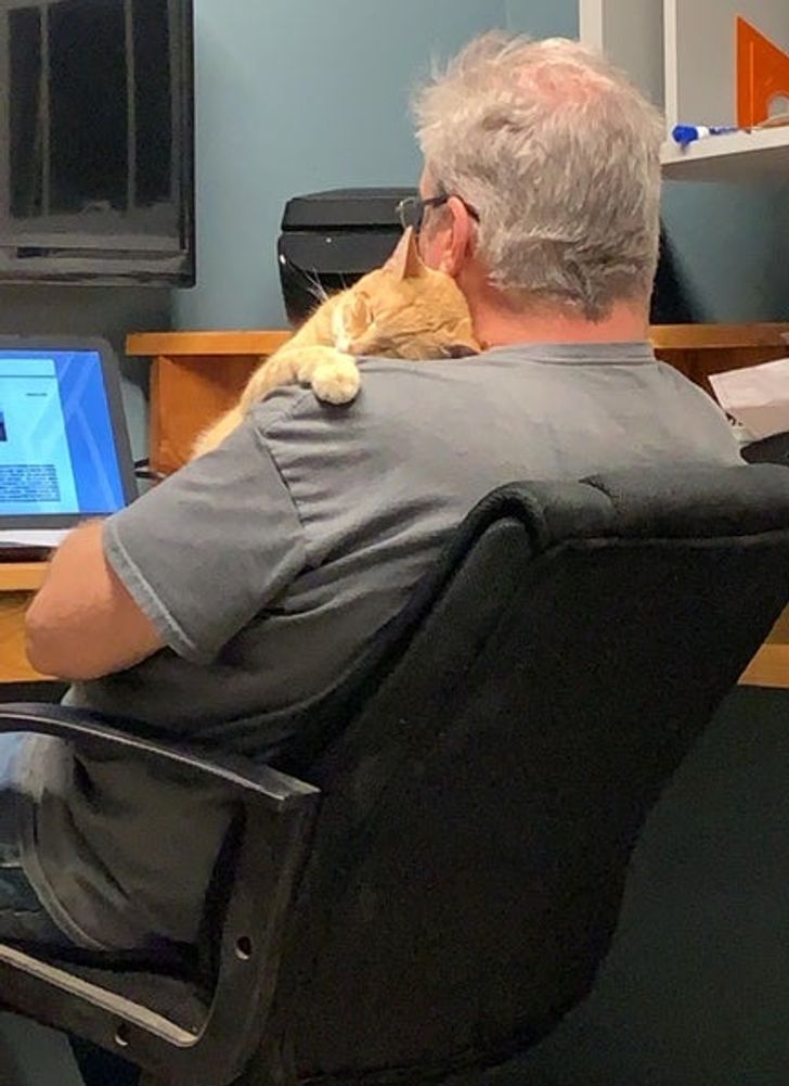 Illustration de l'article : 20 people who were against adopting a pet until this happened