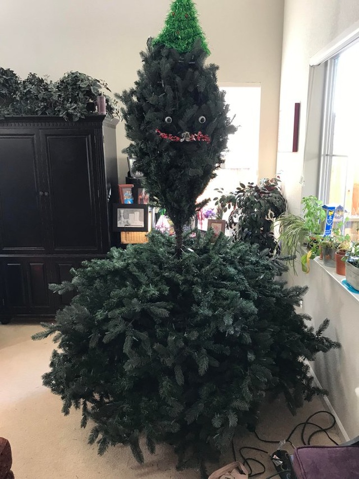 Illustration de l'article : 15 people who have mastered the art of problem-solving