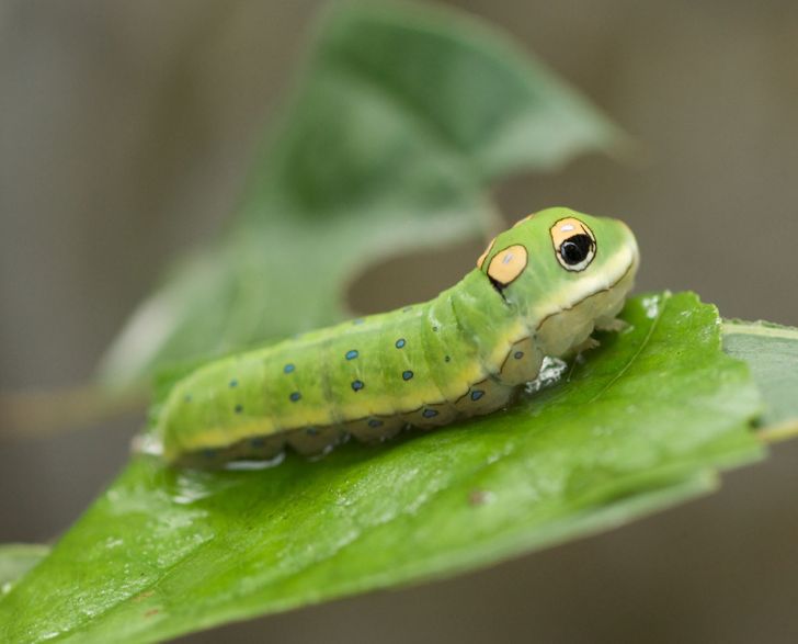 Illustration de l'article : 17 times Mother Nature showed off her works of art