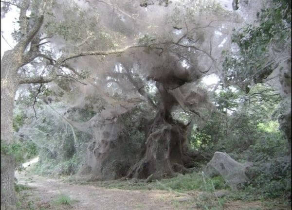 Illustration de l'article : 15 horrible situations we never want to experience