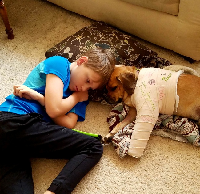 Illustration de l'article : 28 heart-warming acts of kindness that will restore your faith in humanity