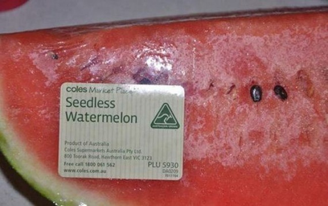 Illustration de l'article : 12 pictures that prove we know nothing about this world