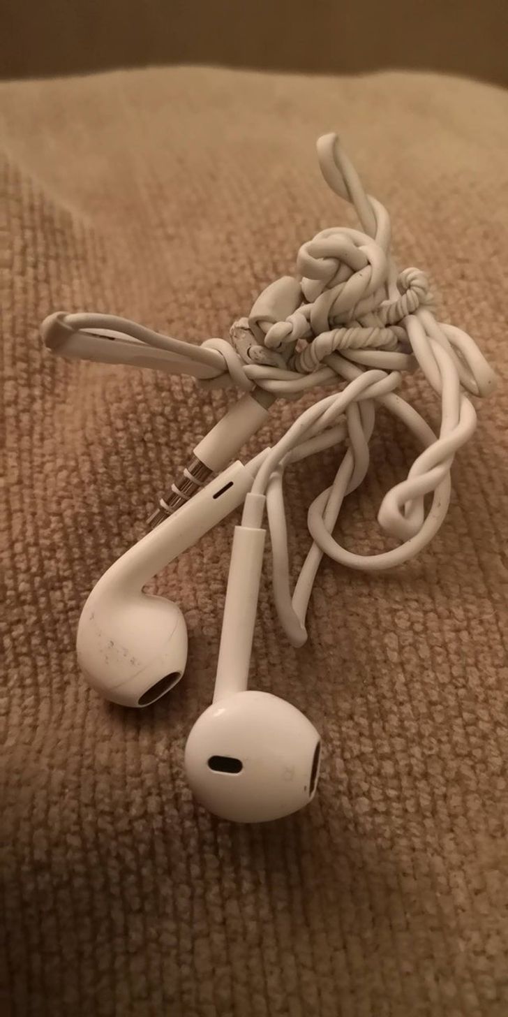 Illustration de l'article : 20 people who had a day to remember - for all the wrong reasons