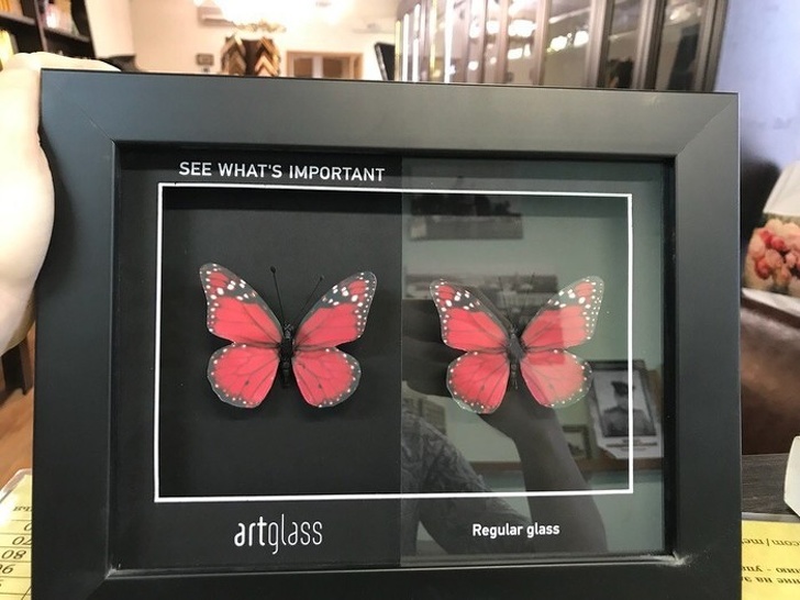 Illustration de l'article : 20 photos proving things aren’t always what they seem