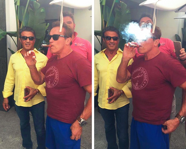 Illustration de l'article : 15 hilarious celebrity photobombs that were a true success
