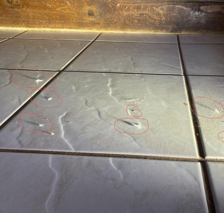 Illustration de l'article : 20 life hacks that could be worth a try